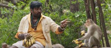 Vijay Sethupathi Kadaisi Vivasayi trailer Ilaiyaraaja Yogi Babu Kaaka Muttai director Manikandan